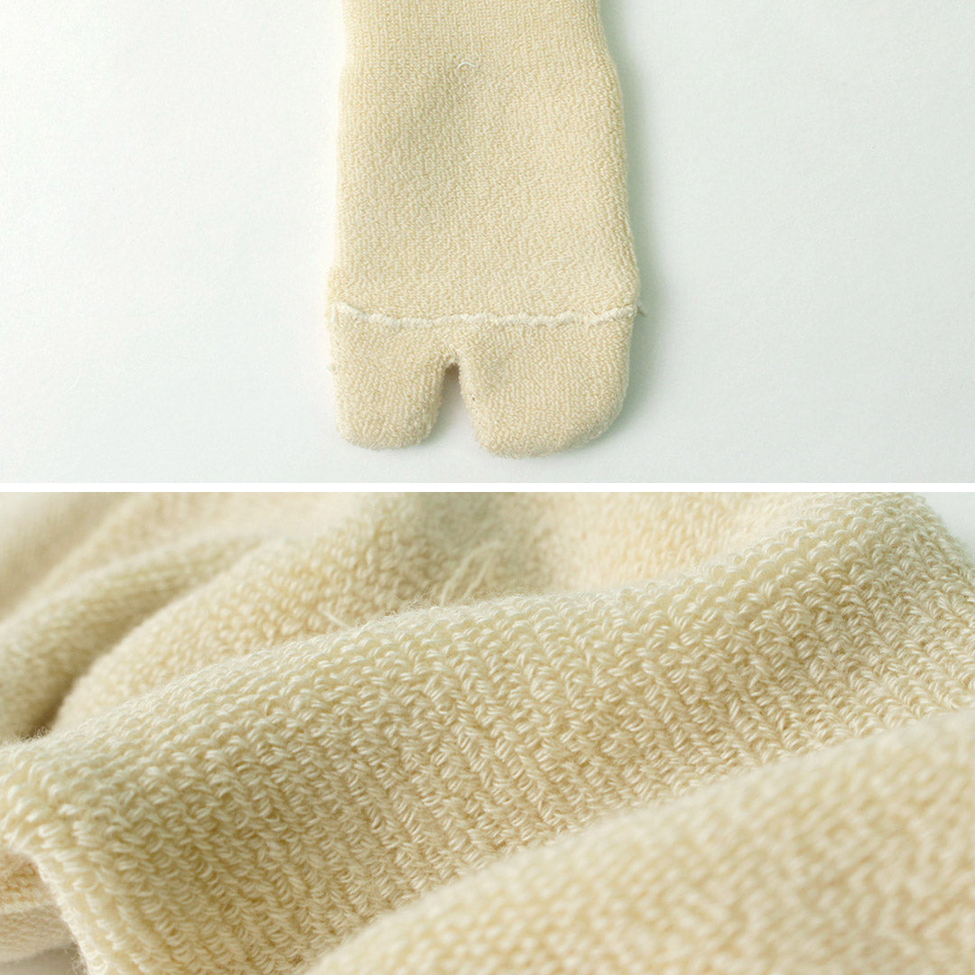 NODAL / Nuevos Calcetines Estándar