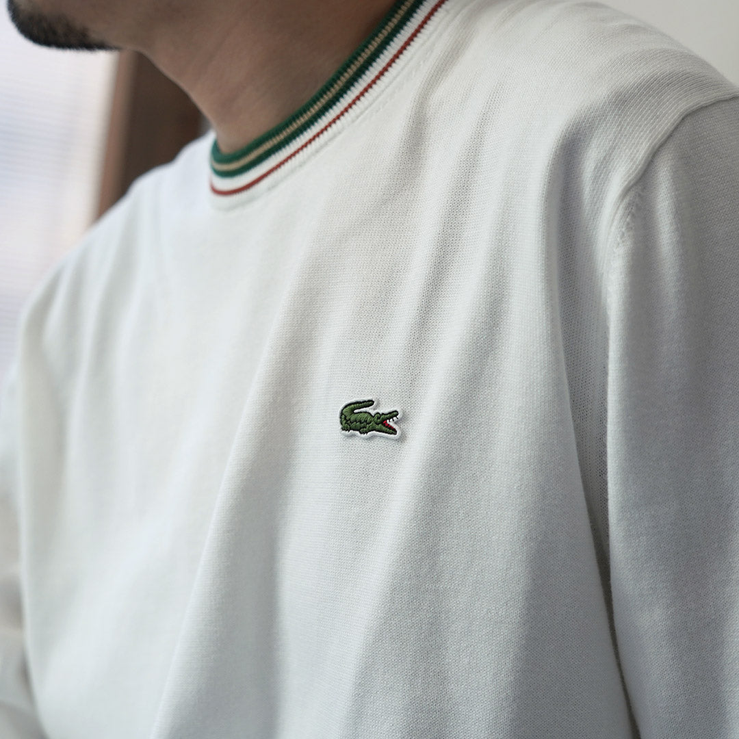 LACOSTE / 条纹棉针织