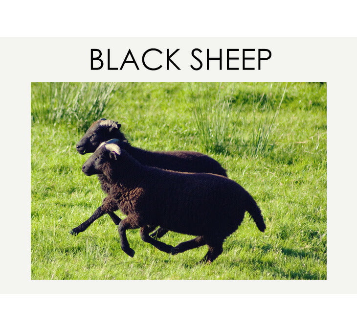 BLACK SHEEP / Fingerless knit gloves