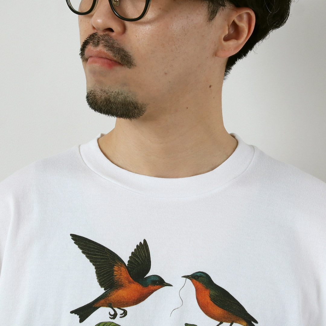 ALPINISME BLANC / T-Shirt Colibri
