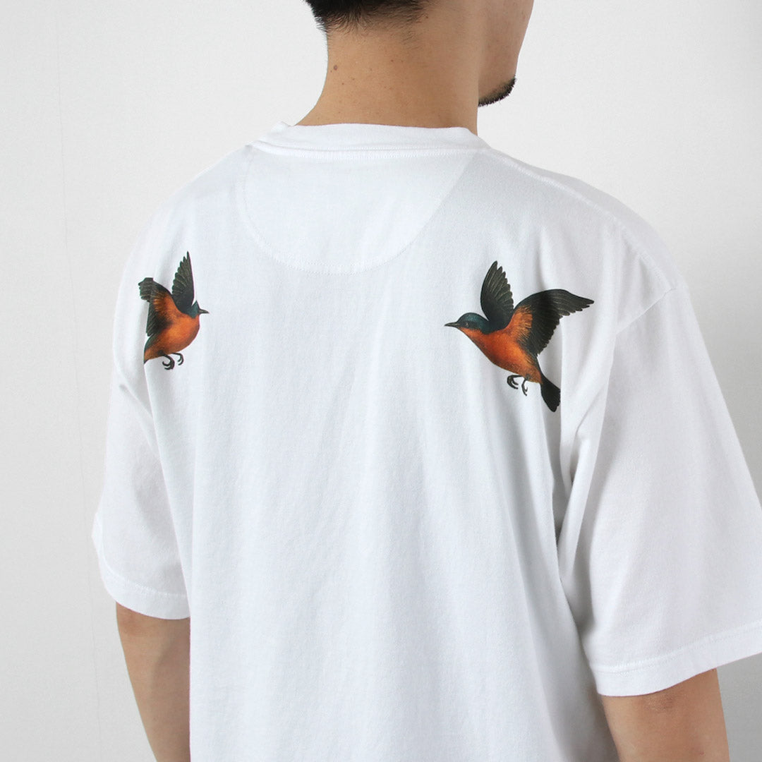ALPINISME BLANC / T-Shirt Colibri